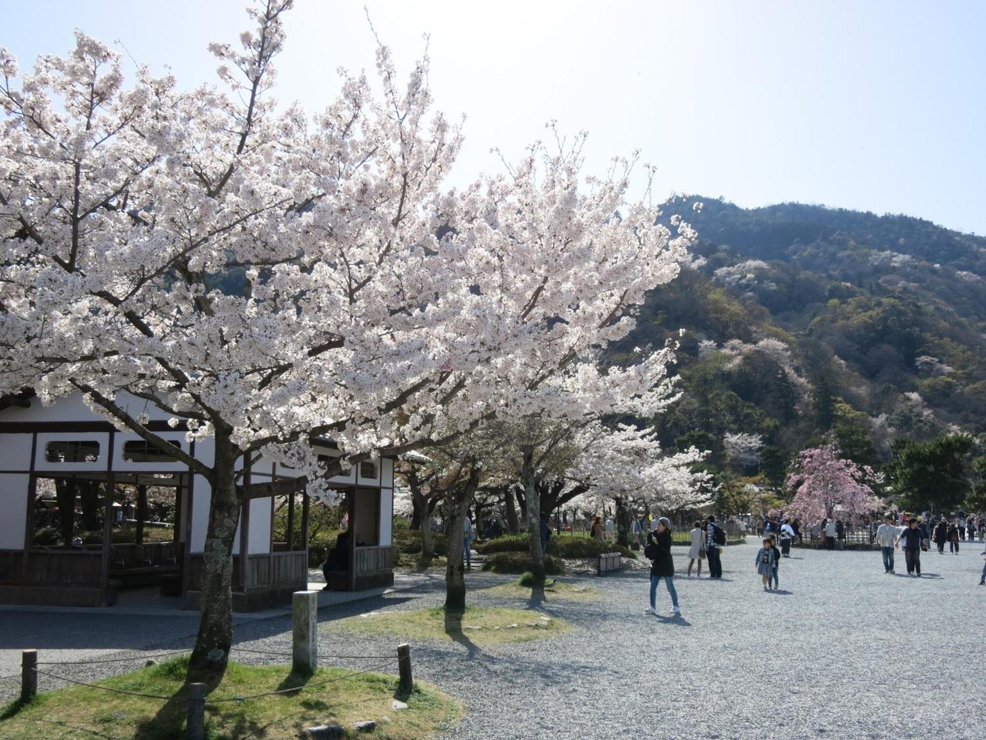The Grandwest Arashiyama Aparthotel Quioto Exterior foto