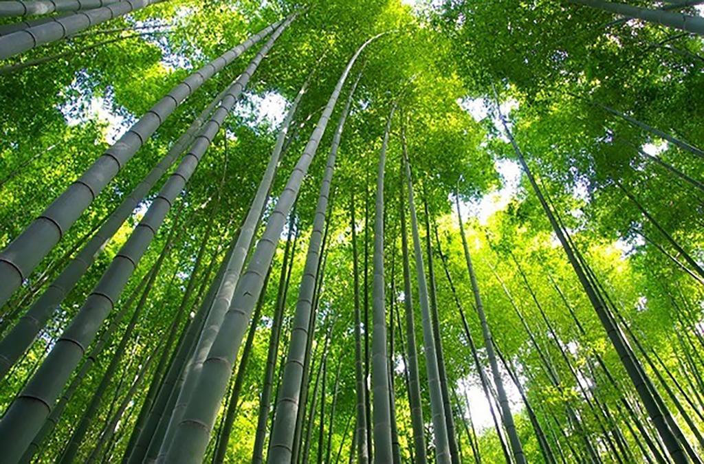 The Grandwest Arashiyama Aparthotel Quioto Exterior foto